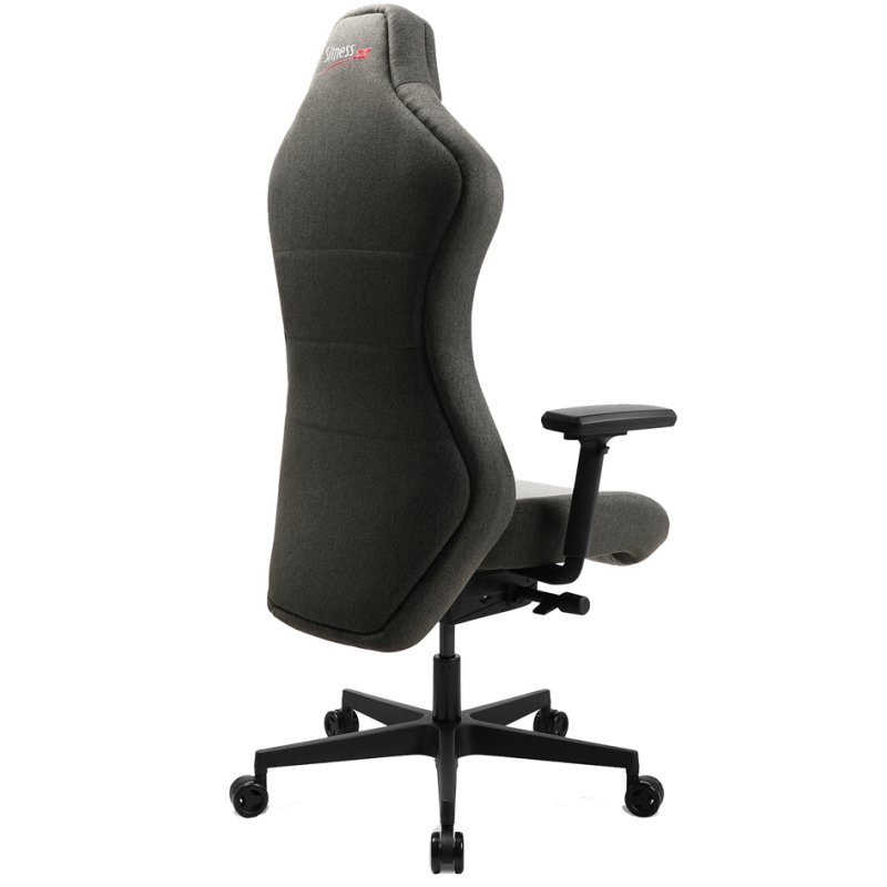 Topstar Sitness RS X bureaustoel, donkergrijs/lichtgrijs, ergonomisch, 150 kg